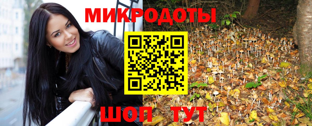 Галлюциногенные грибы Psilocybe  Вход с VPN  Новошахтинск 