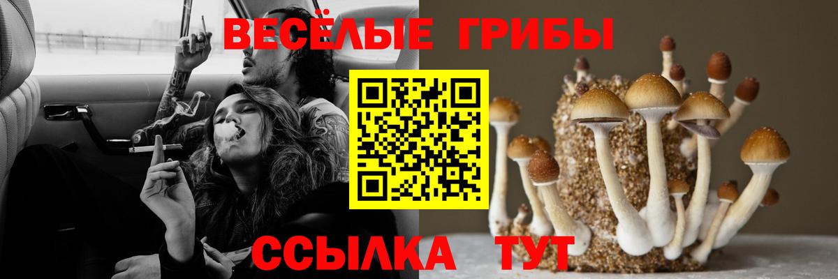 Псилоцибиновые грибы GOLDEN TEACHER Новошахтинск